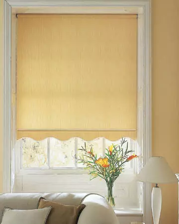 Scallops Roller Collection