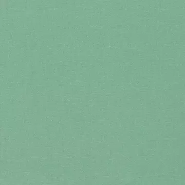 Clarke & Clarke Lazio Herb Curtains