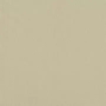 Clarke & Clarke Lazio Putty Curtains