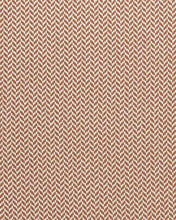 Clarke & Clarke Zalika Cinnabar Curtains