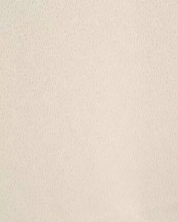 Prestigious Facade White Wash Curtains