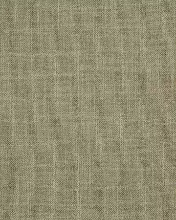 Prestigious Whisp Willow Curtains