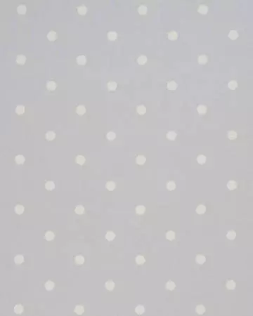 Studio G Dotty Grey Curtains