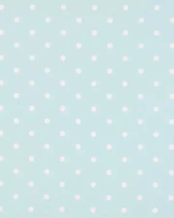 Studio G Dotty Sky Curtains