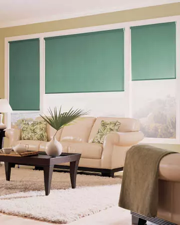 Calva Leaf Roller Blinds