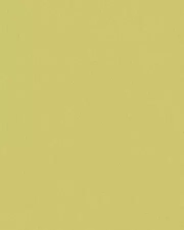 Eclipse Palette Fresh Apple Roller Blinds