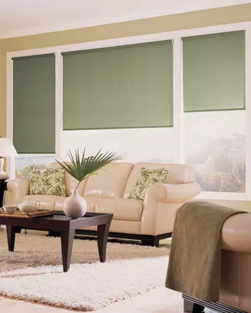 Eclipse Palette Green Roller Blinds