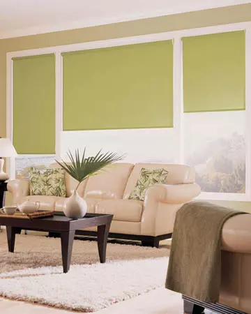 Eclipse Palette Lime Green Roller Blinds