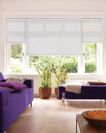 Splash Paper Roller Blinds