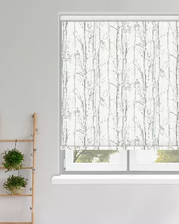 Louvolite Swedish Birch Silver Roller Blinds