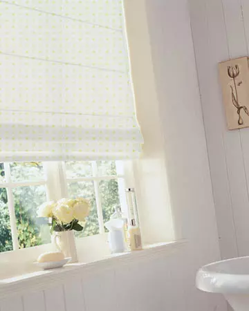 A La Carte Lime Roman Blinds