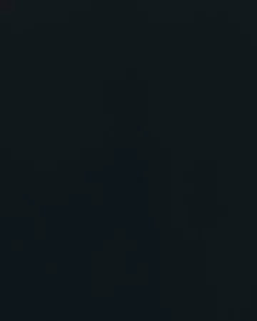 Camengo Coulisse Anthracite Roman Blinds