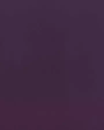 Camengo Coulisse Aubergine Roman Blinds