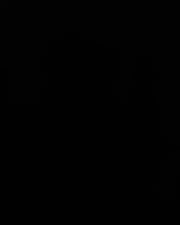 Camengo Coulisse Black Roman Blinds