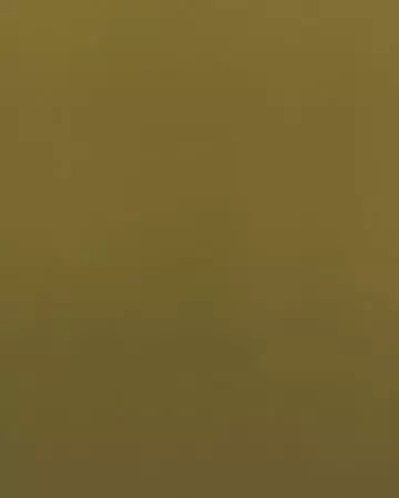 Camengo Coulisse Olive Roman Blinds