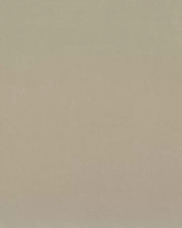 Camengo Honey Ficelle Roman Blinds