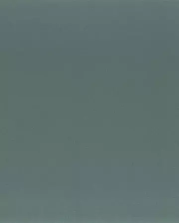 Camengo Honey Givre Roman Blinds