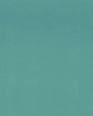 Camengo Honey Lagon Roman Blinds