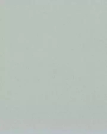 Camengo Honey Souris Roman Blinds