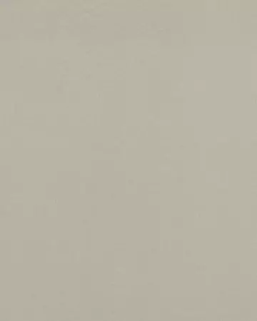 Camengo Honey Tourterelle Roman Blinds