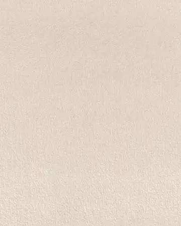 Camengo Zenith Sable Roman Blinds