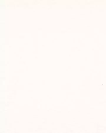 Casamance Landscape Blanc Roman Blinds