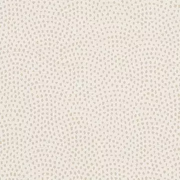 Clarke & Clarke Nebula Ivory Roman Blinds