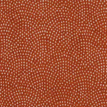 Clarke & Clarke Nebula Spice Roman Blinds