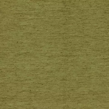 Clarke & Clarke Ravello Olive Roman Blinds