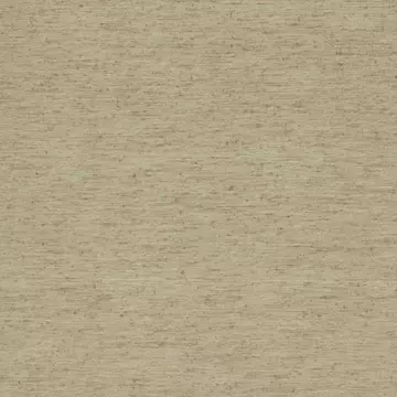 Clarke & Clarke Ravello Putty Roman Blinds