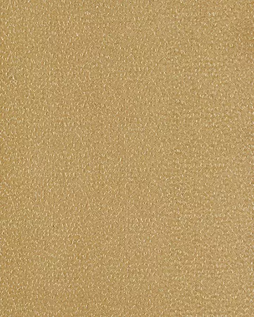 Clarke & Clarke Ricamo Ochre Roman Blinds