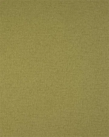 Fryetts Carnaby Olive Roman Blinds