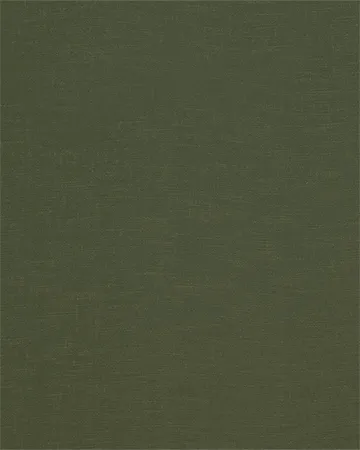 Fryetts Carnaby Sage Roman Blinds