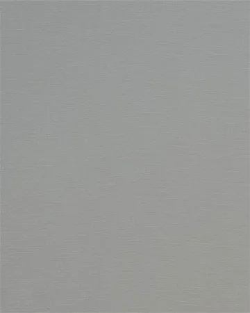 Fryetts Carnaby Silver Roman Blinds