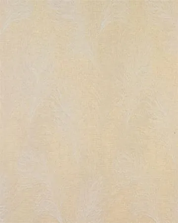 Fryetts Feather Ivory Roman Blinds