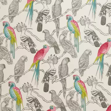Iliv Aviary Begonia Roman Blinds