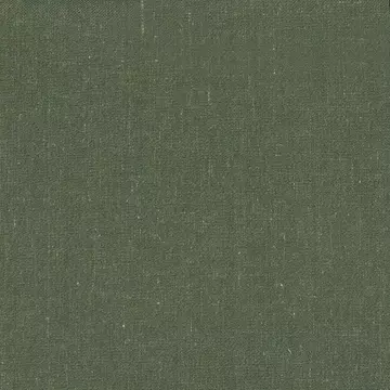 Iliv Chakra Evergreen Roman Blinds