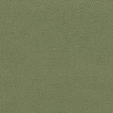 Iliv Karuna Olive Roman Blinds