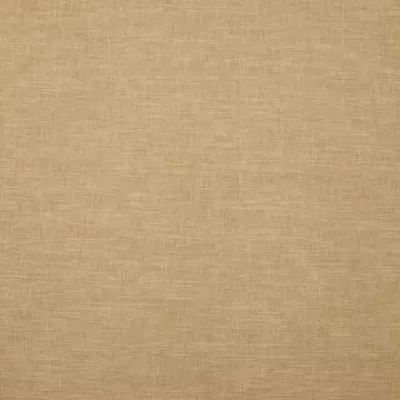 Iliv Namaste Dijon Roman Blinds