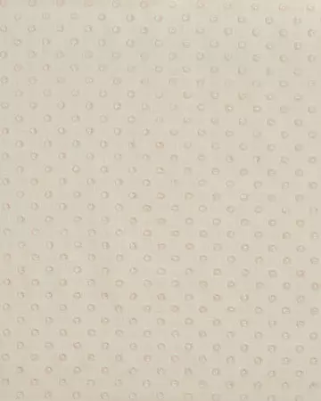 Prestigious Pom Pom Pampas Roman Blinds