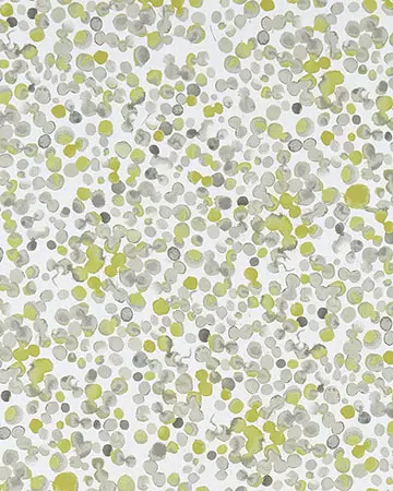 Studio G Lugar Chartreuse Roman Blinds