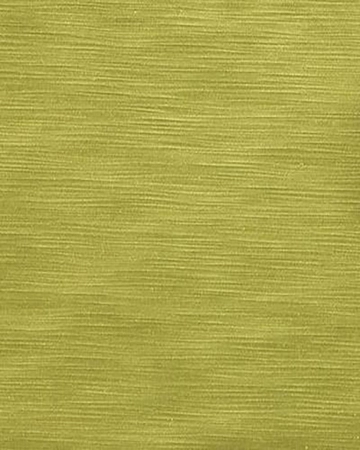 Wemyss Halo 46 Palm Roman Blinds